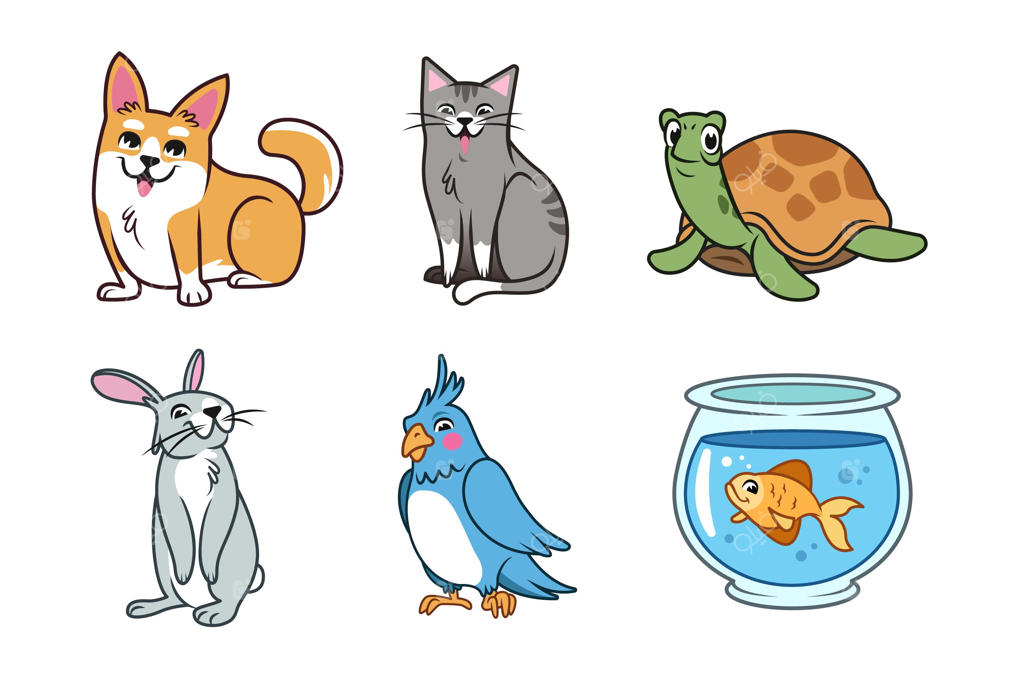 مجموعه مفهومی حیوانات خانگی متنوع