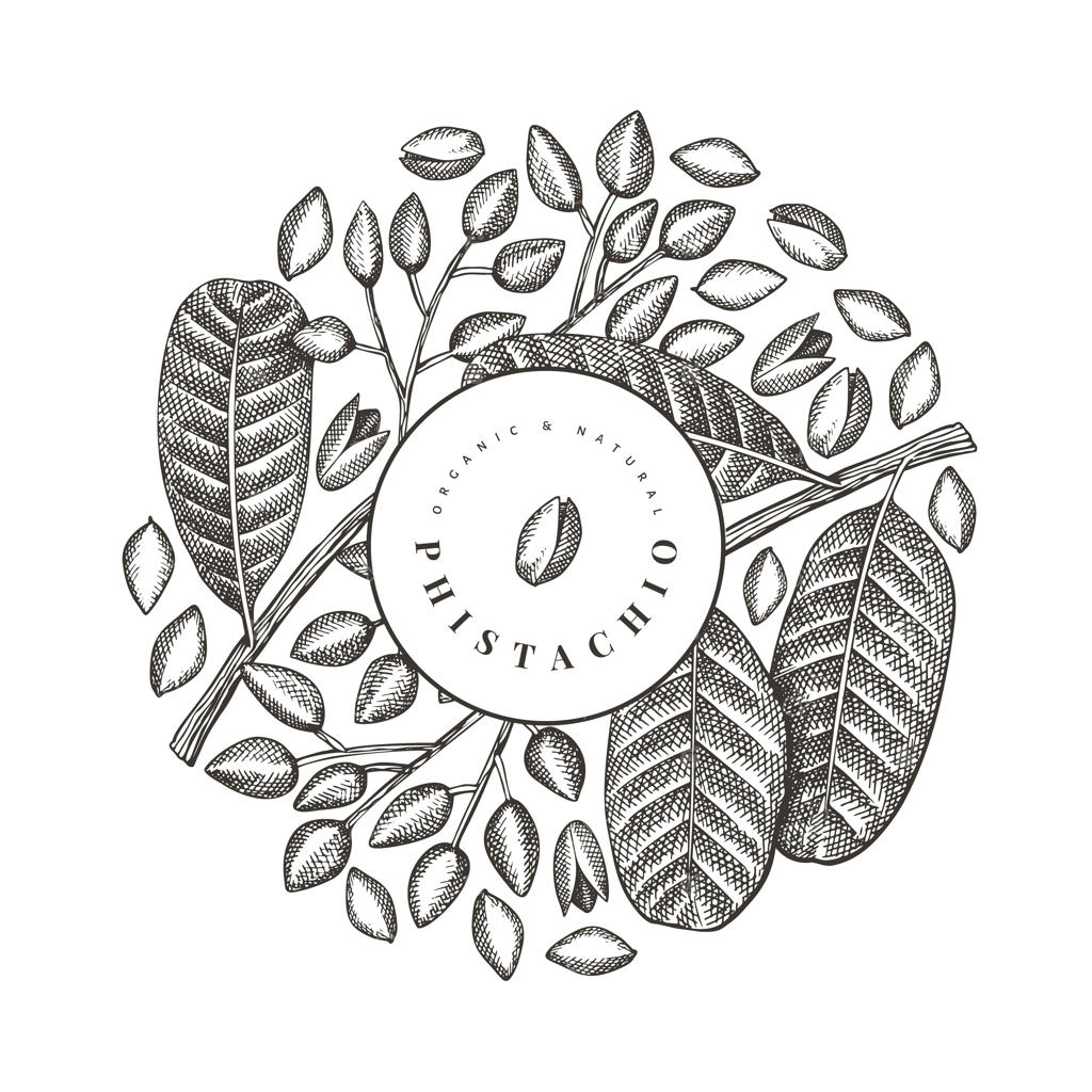 طرح شاخه و دانه‌های پسته با طراحی دستی