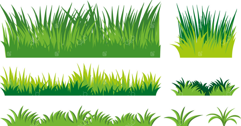 بوته‌های چمن سبز طبیعی در چمنزار بهاری و تابستانی با گیاهان تازه