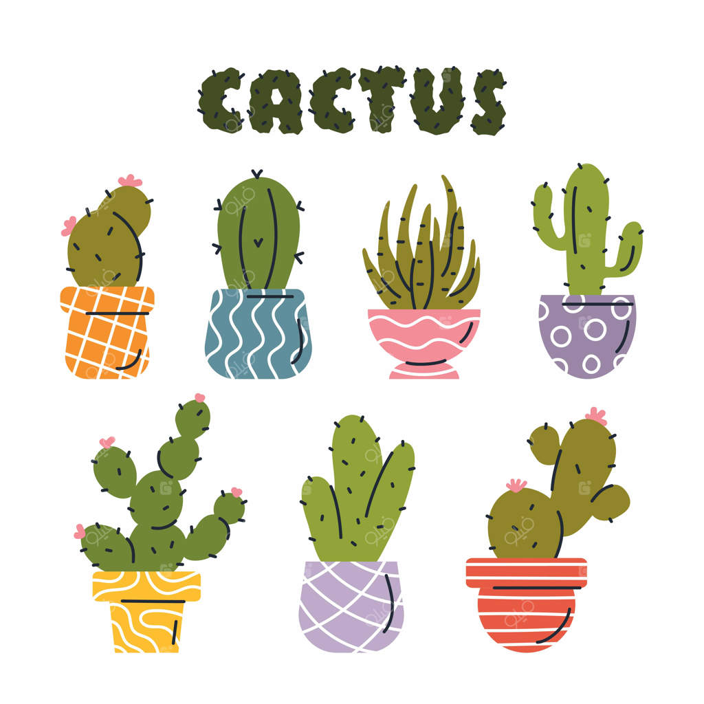 مجموعه‌ای از کاکتوس‌های رنگارنگ در گلدان‌های رنگی با خطوط کلی