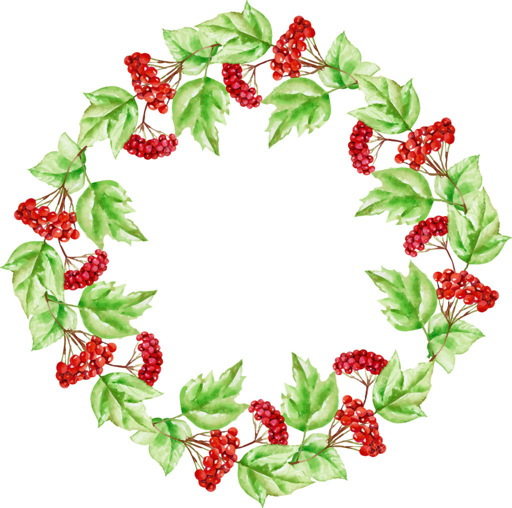 حلقه و قاب شاخه‌های نقاشی‌شده با آبرنگ ویبرنوم