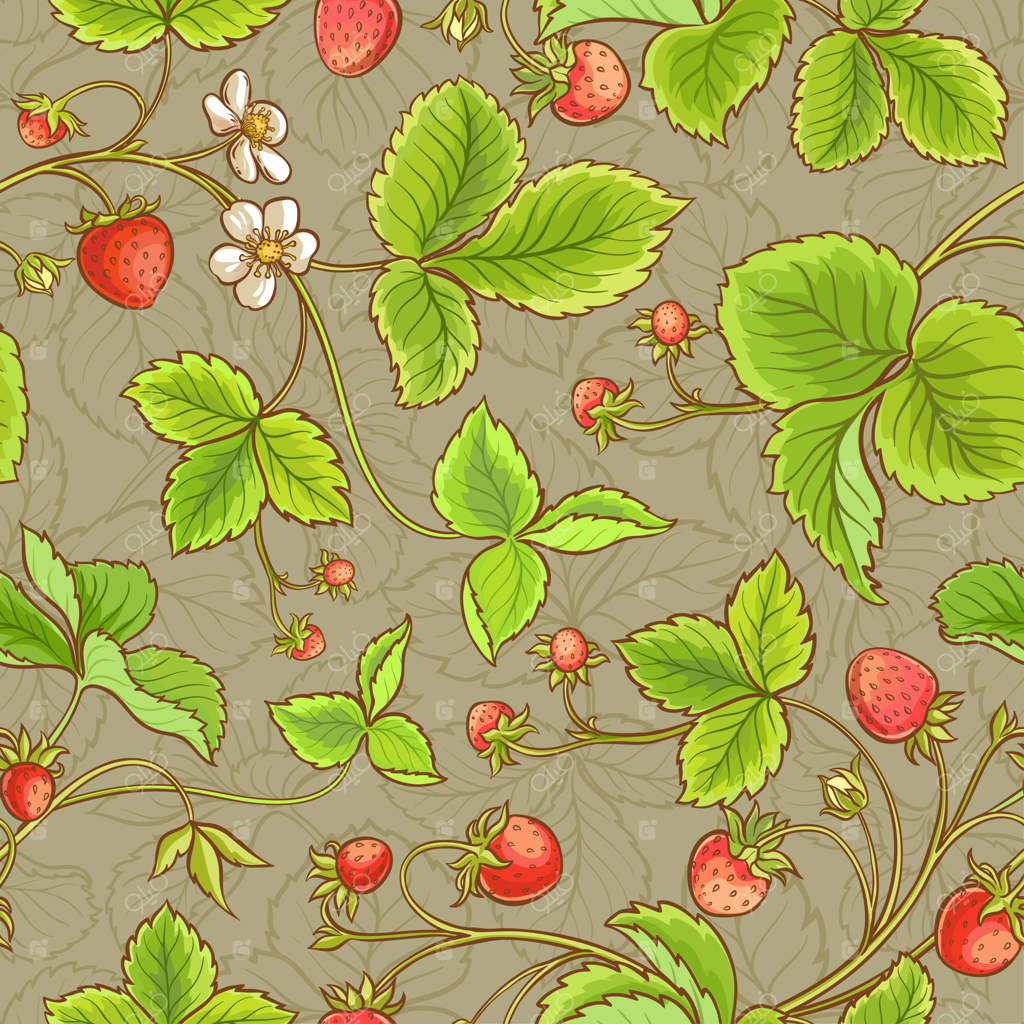 پترن یکپارچه توت‌فرنگی وکتور