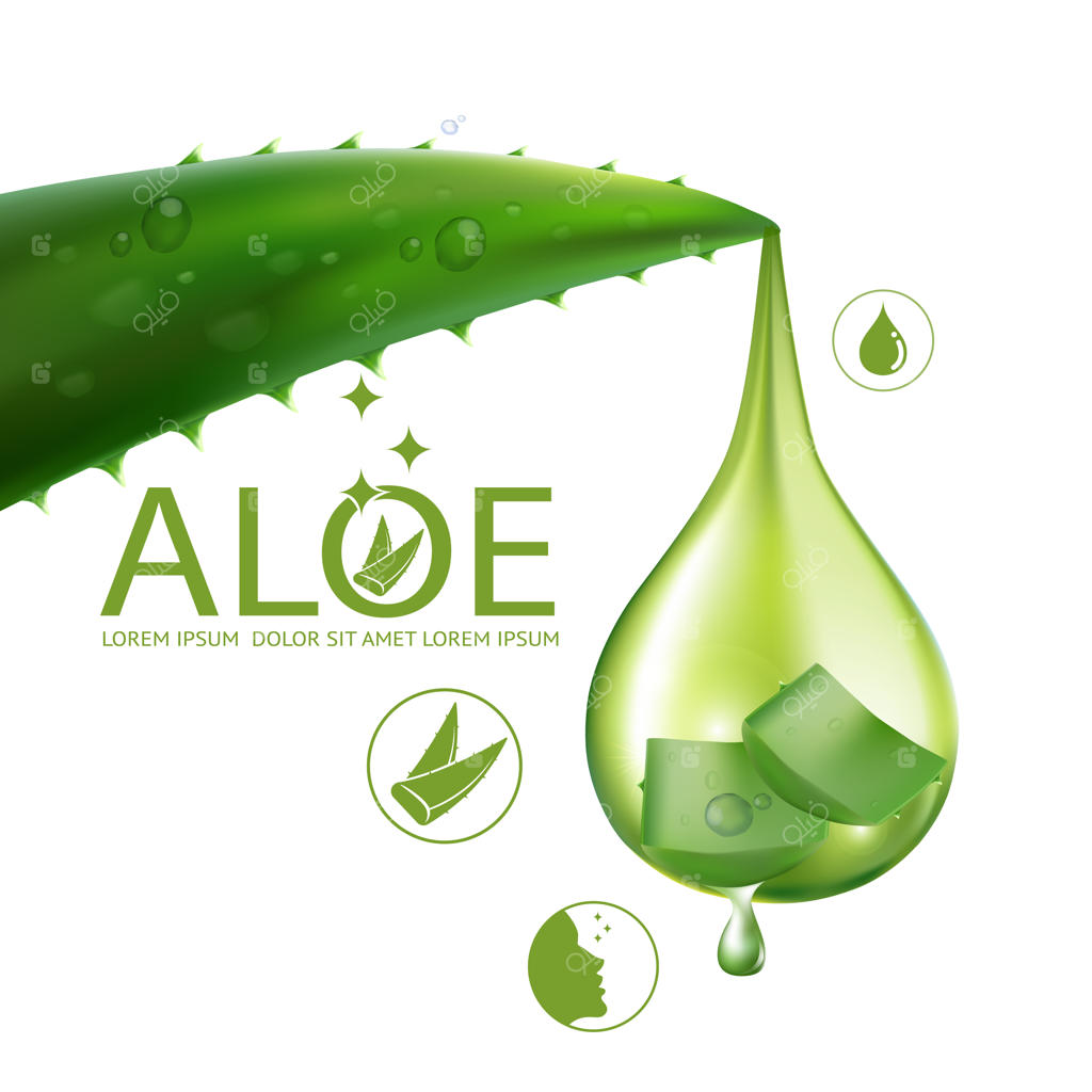 تصویر واقعی لوازم آرایشی با ترکیبات مراقبتی آلوئه‌ورا