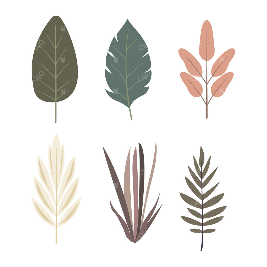 مجموعه عناصر شاخ و برگ سبز گرمسیری برای تزیین باغ