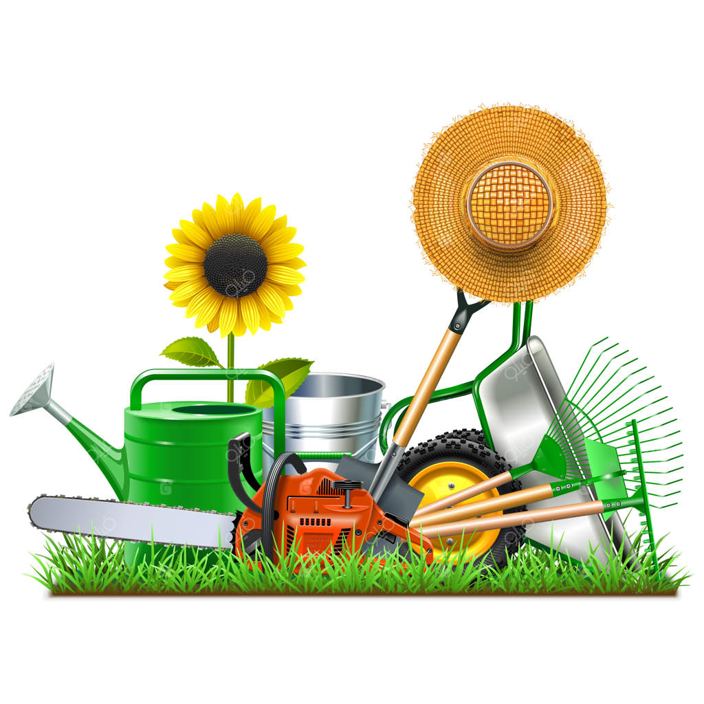 مفهوم لوازم جانبی باغ وکتور