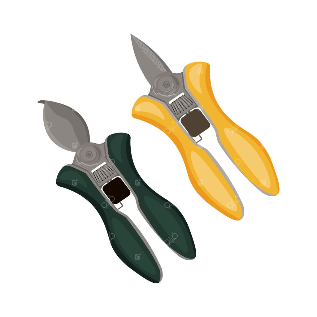 مجموعه ابزار باغبانی: قیچی و شاخه‌زن. تجهیزات باغبان. تصویر مجزا بر روی زمینه سفید.