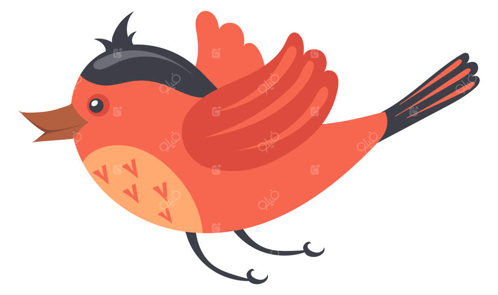 پرنده در حال پرواز حیوانی با بال‌های زیبا و رنگارنگ