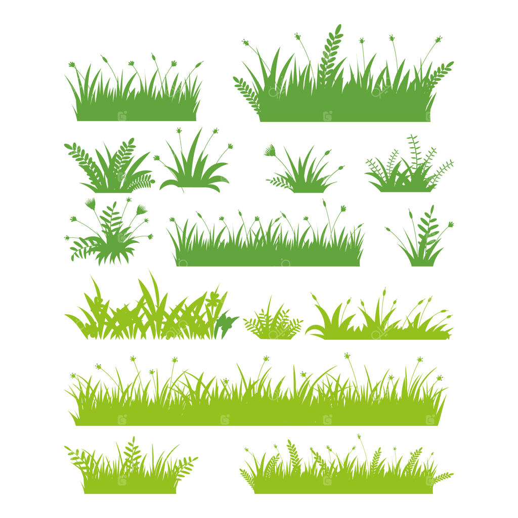 مجموعه‌ای از انواع مختلف چمن و گیاهان