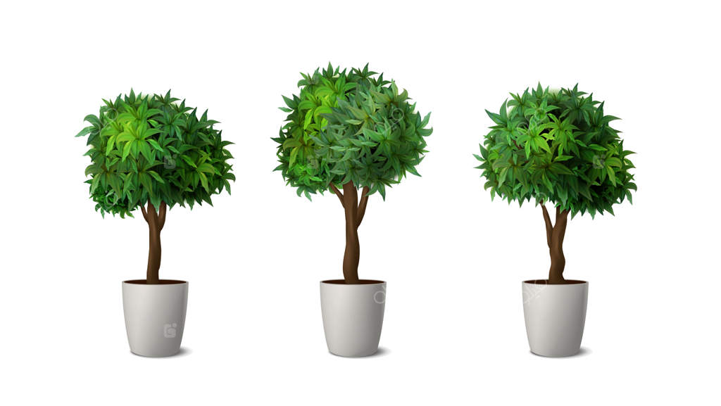 مجموعه آیکون های وکتور واقع‌گرایانه از گیاهان کف فضای باز در گلدان سفید طراحی داخلی و باغبانی