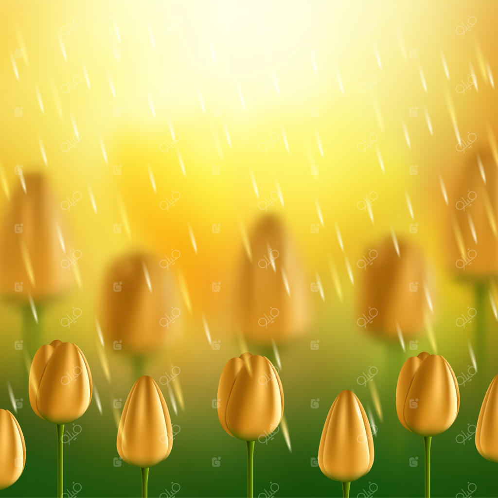 لاله‌های زیبا در پس‌زمینه طبیعت