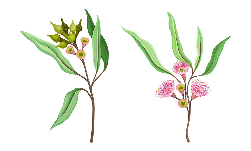 تصویری از گل‌های صورتی زیبا و برگ‌های بیضی‌شکل