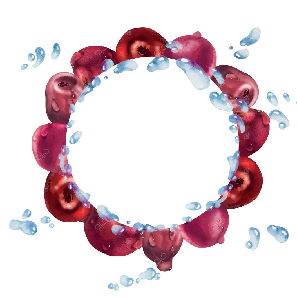 گیلاس های ترش و شیرین در قطرات آب، نقاشی آبرنگی، میوه رسیده با برگ‌های سبز. طرح دایره‌ای برای منوی رستوران یا بازار کشاورزها.