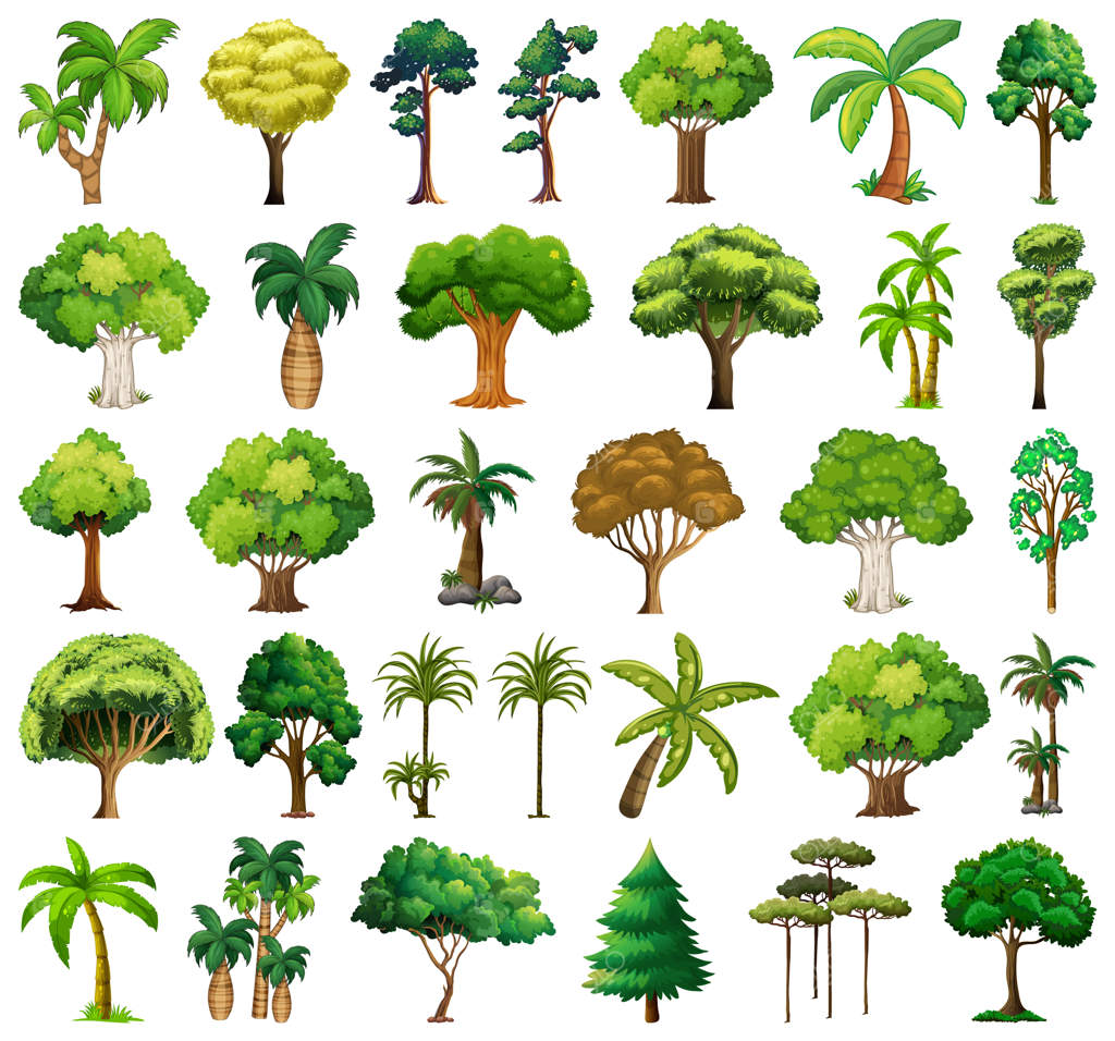 مجموعه‌ای از گیاهان و درختان متنوع