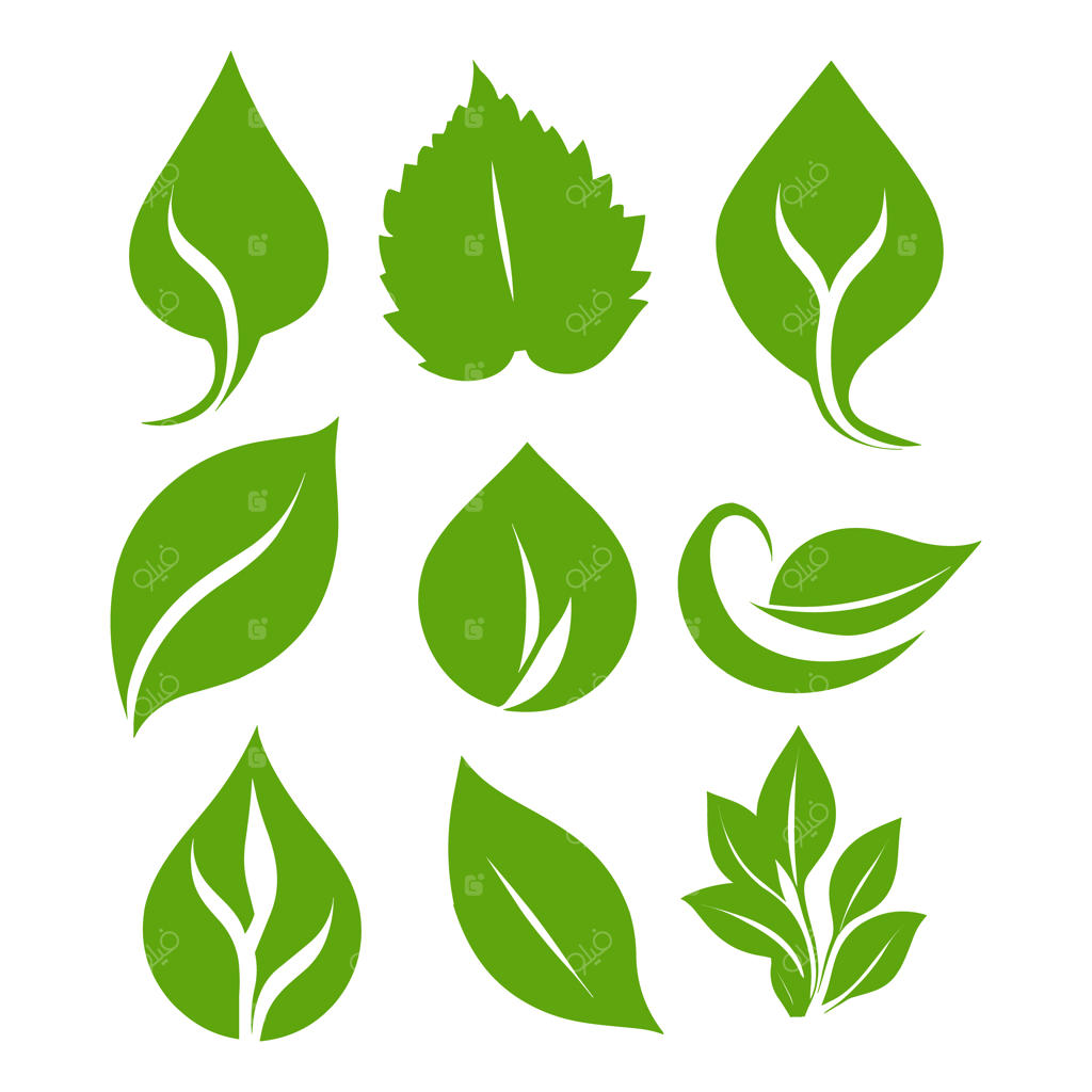 تصویرسازی‌های وکتور و رایگان طرح لوگوی برگ