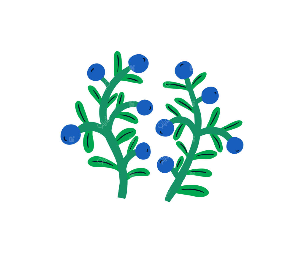 گل‌های تابستانی دست‌کشیده: باغ گل و گیاه در سبک مسطح.