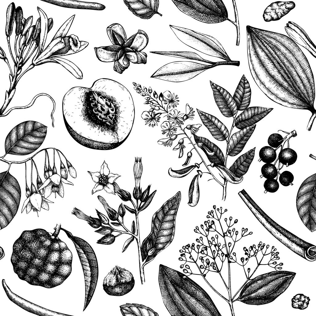 پس‌زمینه وکتور با میوه‌ها و گل‌های معطر: طراحی دست‌کشیده گیاهان دارویی و عطری برای برندها و بسته‌بندی‌ها، پترن گیاهی بی‌وقفه
