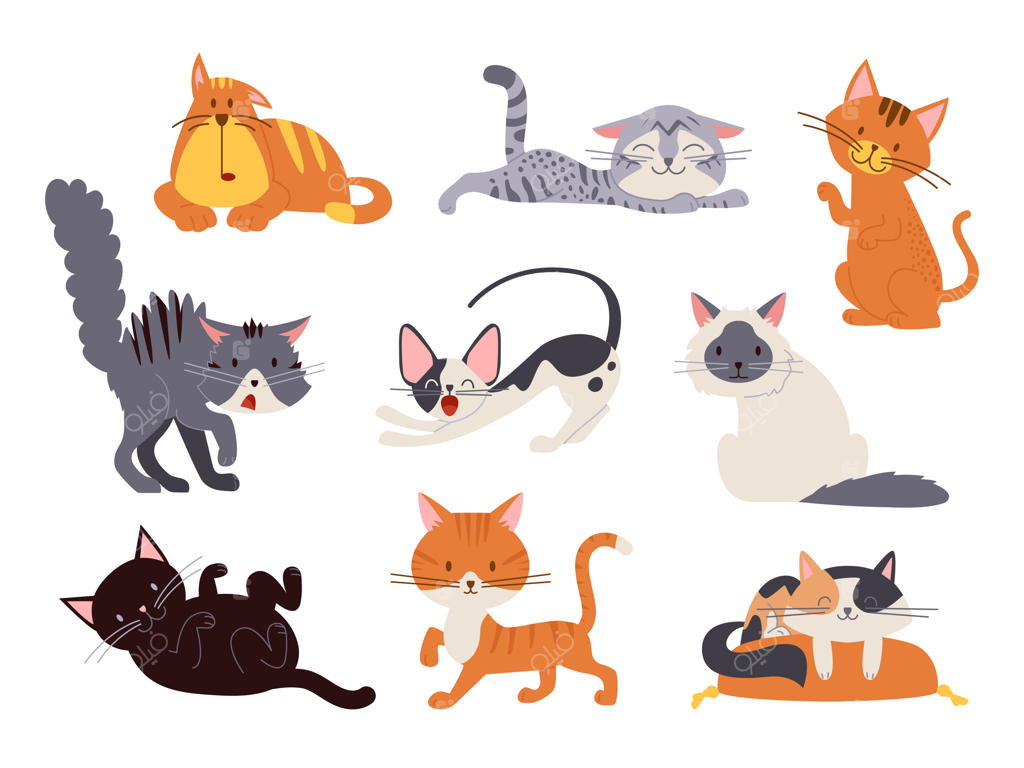 مجموعه وکتور شیک گربه‌های کارتونی و بچه‌گربه‌های پشمالو؛ شامل استیکرهای کودکانه و بامزه در حالت‌های خوابیده روی بالش، نشسته و در حال بازی