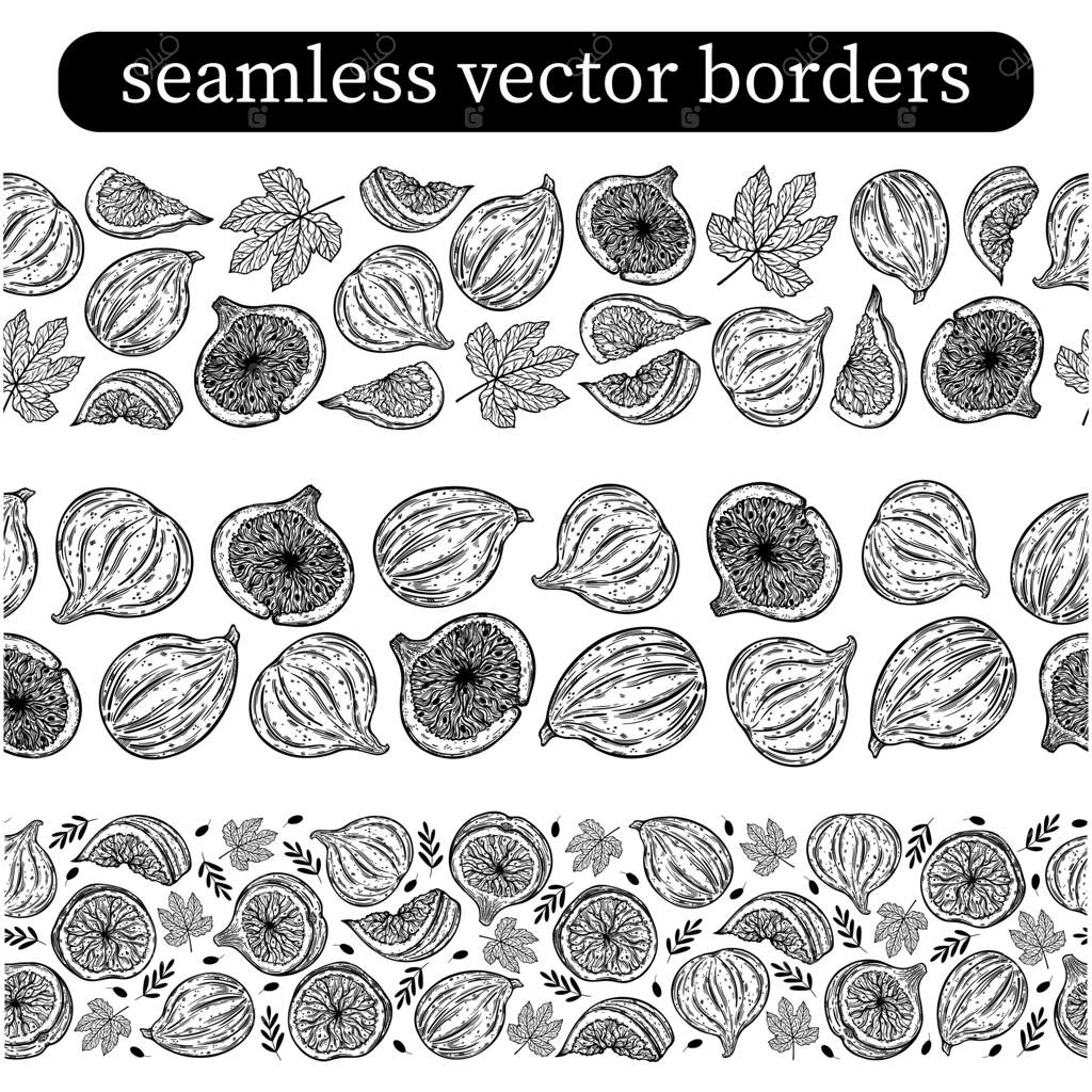 مجموعه حاشیه‌های یکپارچه از انجیر. میوه‌های باغ رسیده، کامل، نصفه و برش‌خورده. طرحی از توت تازه با شاخه‌ها و برگ‌ها. طرح سیاه و سفید گیاه استوایی. کلیپ‌آرت گیاهی دست‌کشیده