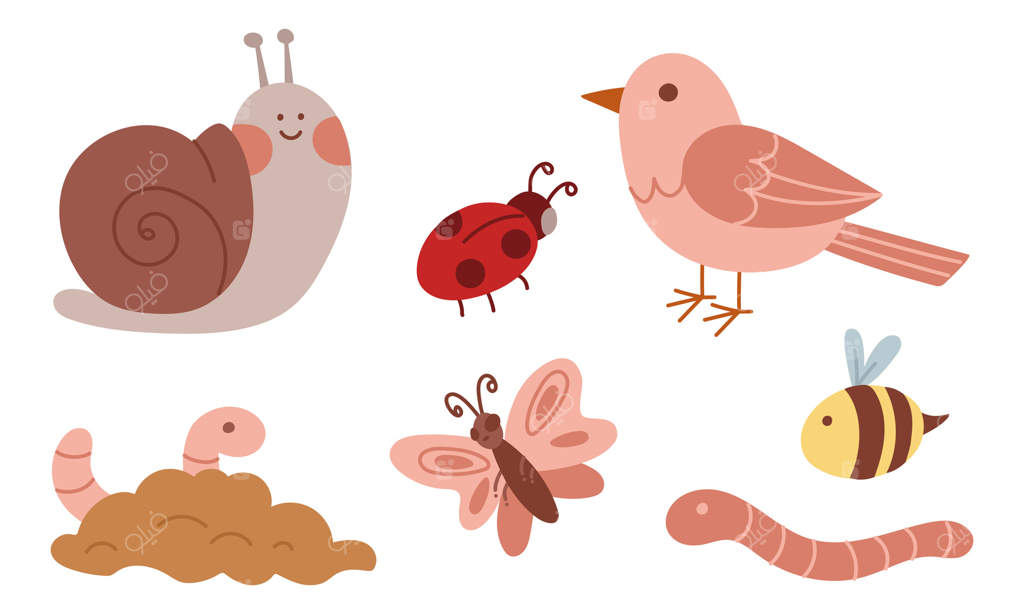 مجموعه‌ای از حشرات و حیوانات بامزه در باغ. تصویرسازی به سبک رنگ‌های ساده. حلزون، پرنده، کفشدوزک، کرم، پروانه. مناسب برای چاپ، بسته‌بندی، پوستر، وبلاگ و پروژه‌های کودکانه یا طبیعت‌محور در سبک دنج و صمیمی.