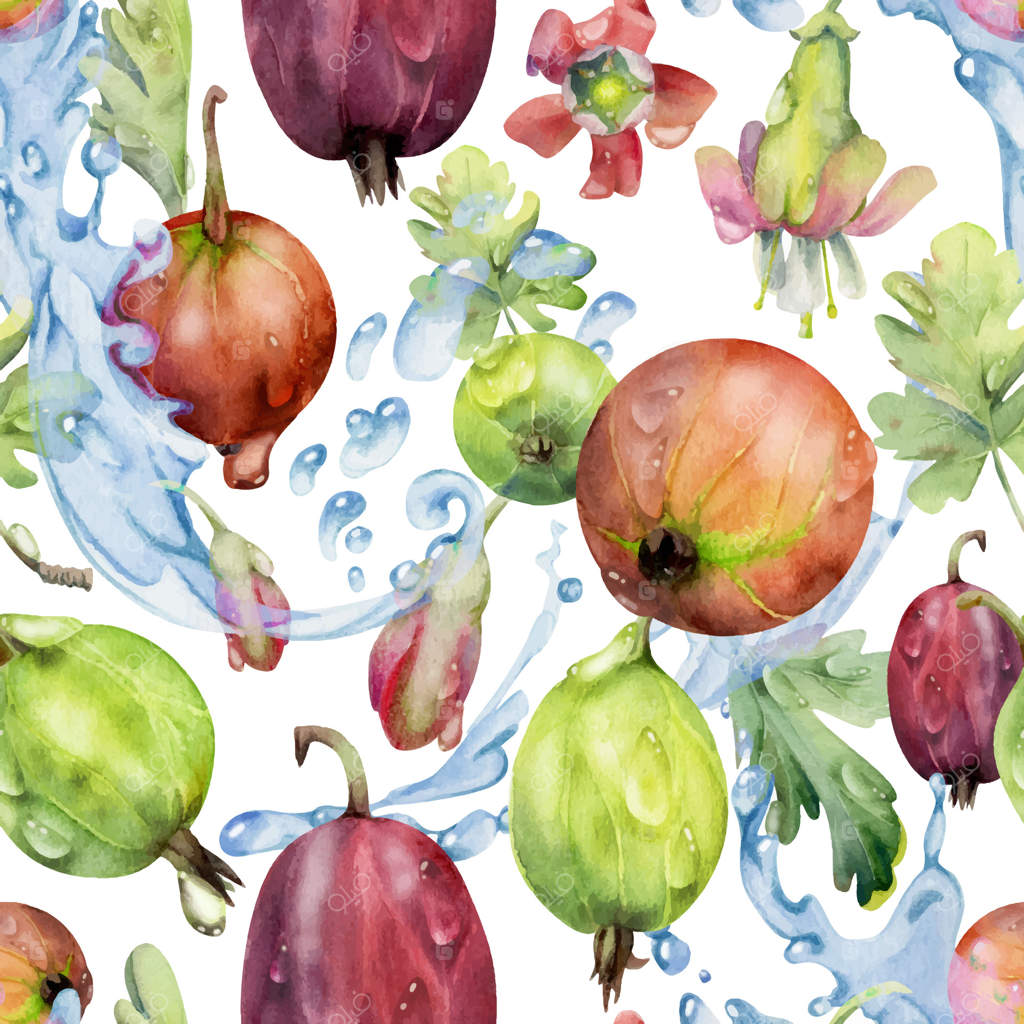 انگور فرنگی و دانه‌های انگور در حال پرواز در قطرات آب، برگ‌های سبز و شبنم، میوه‌های باغی ژوئن رسیده. پترن یکپارچه و شگفت‌انگیز با طراحی دستی در آبرنگ. مناسب برای پارچه و کاغذ کادو