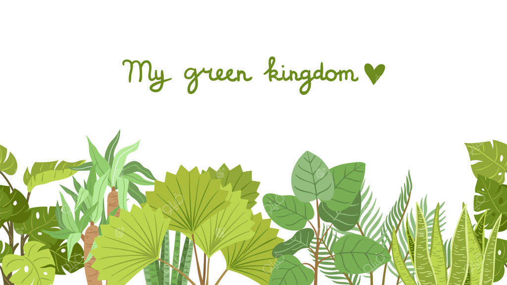 نقش و نگار گیاهان: طراحی باغچه خانه با گیاهان گرمسیری و درختان نخل