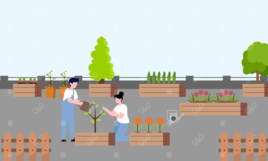 تصویر همکاری مردم، باغبان و کشاورز بر روی پشت بام سبز