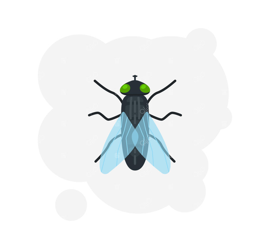 تصویر وکتور آیکون حشره مگس