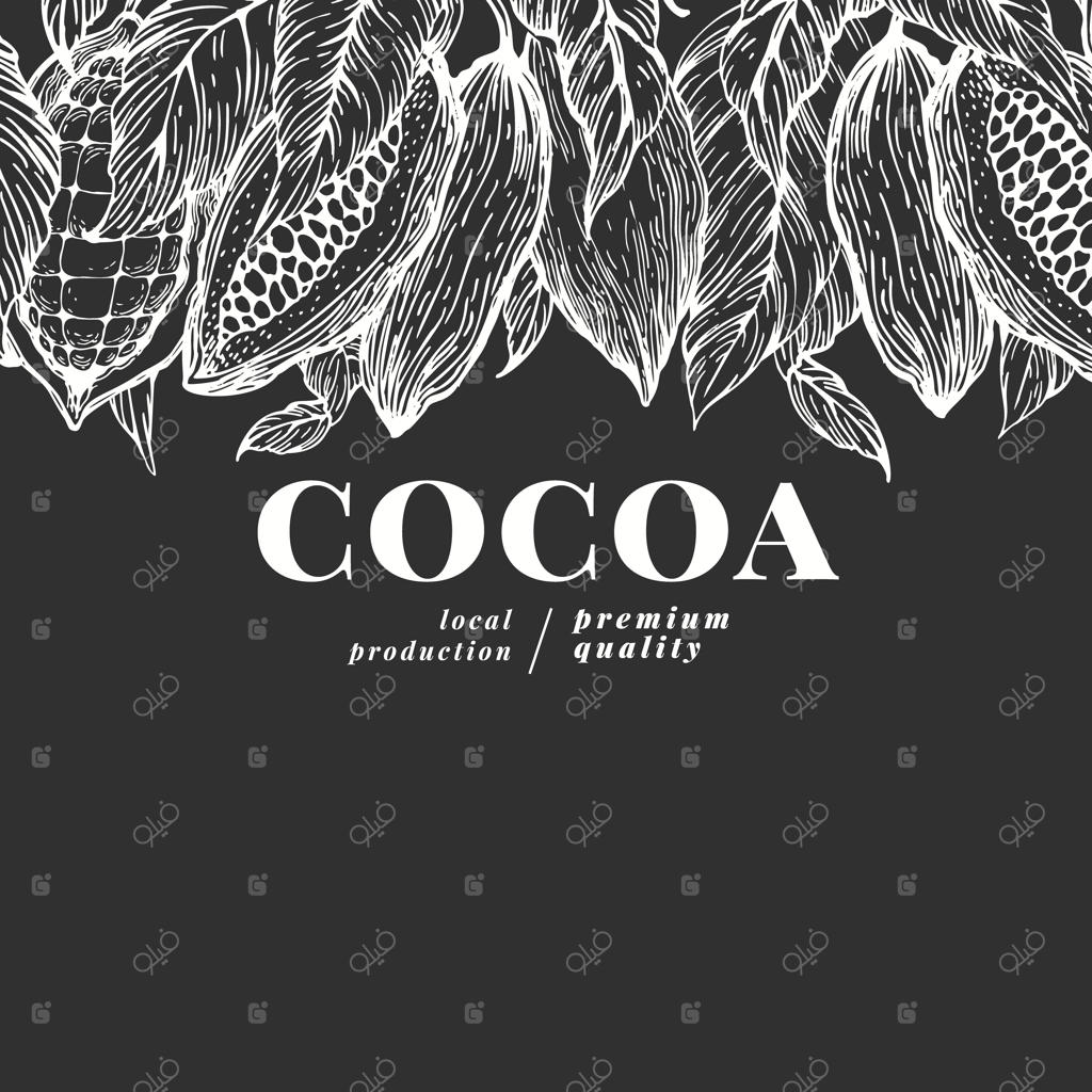 کاکائو دست‌کشیده: تصویرسازی وکتور گیاهان کاکائو بر روی تخته‌سیاه. شکلات طبیعی کلاسیک