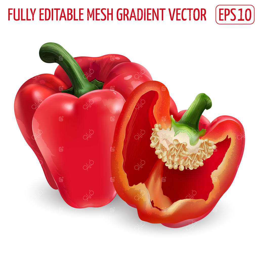 فلفل دلمه‌ای قرمز تازه - طراحی غذای سالم. تصویرسازی واقعی.