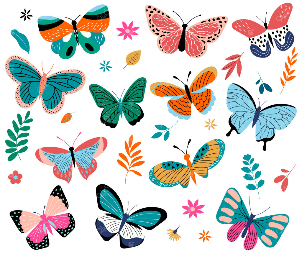 وکتور مجموعه پروانه‌ها در پس‌زمینه سفید