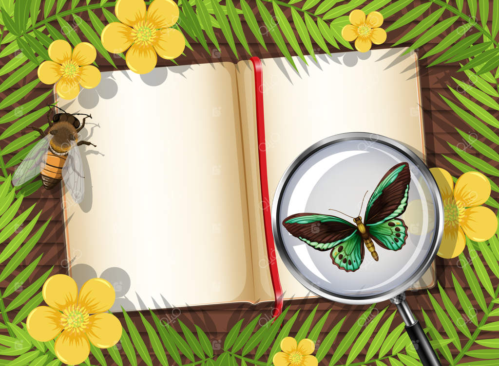 نمای از بالا: میز چوبی با صفحه خالی کتاب و عناصری چون حشرات و برگ‌ها