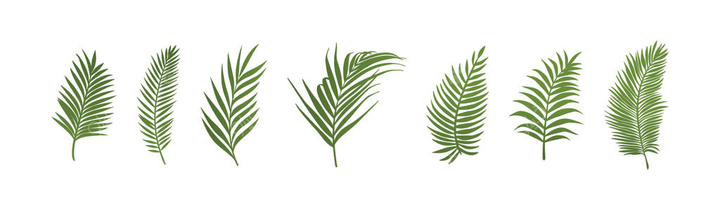 تصویر برگ نخل سبز در سبک طبیعت گرمسیری مسطح