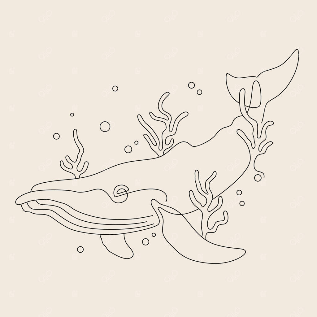 نقش خطی نهنگ و صخره مرجانی