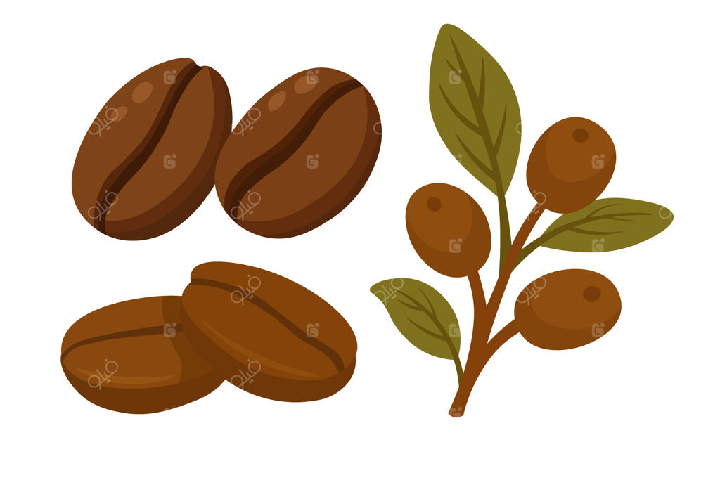 مجموعه کلیپ‌آرت با دانه‌های قهوه بو داده و شاخه، سبک دنج و تخت برای موضوعات کافه و غذا.