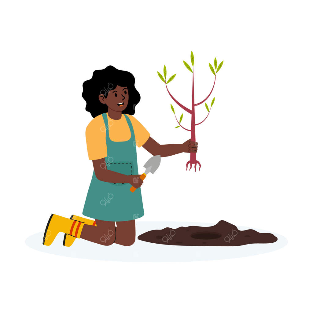 باغبان جوان در حال کاشت نهال در فضای آفتابی