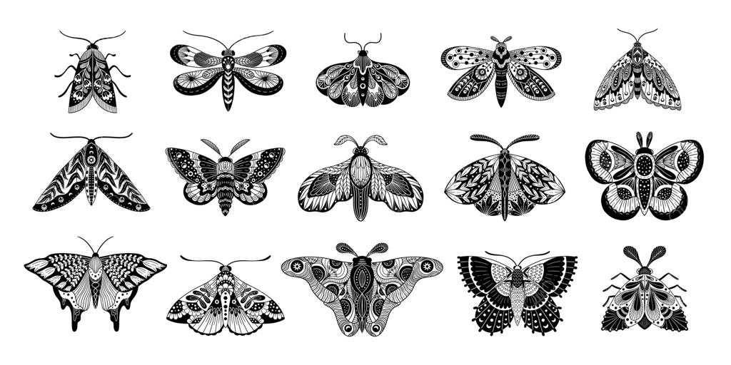 خالکوبی شب‌پره بوهو. طرح‌های خالکوبی پروانه‌ی انتزاعی و قدیمی، سیلوئت‌های مشکی حشره‌ی اسرارآمیز کیهانی با بال‌ها. مجموعه‌ای از طرح‌های منحصر به فرد