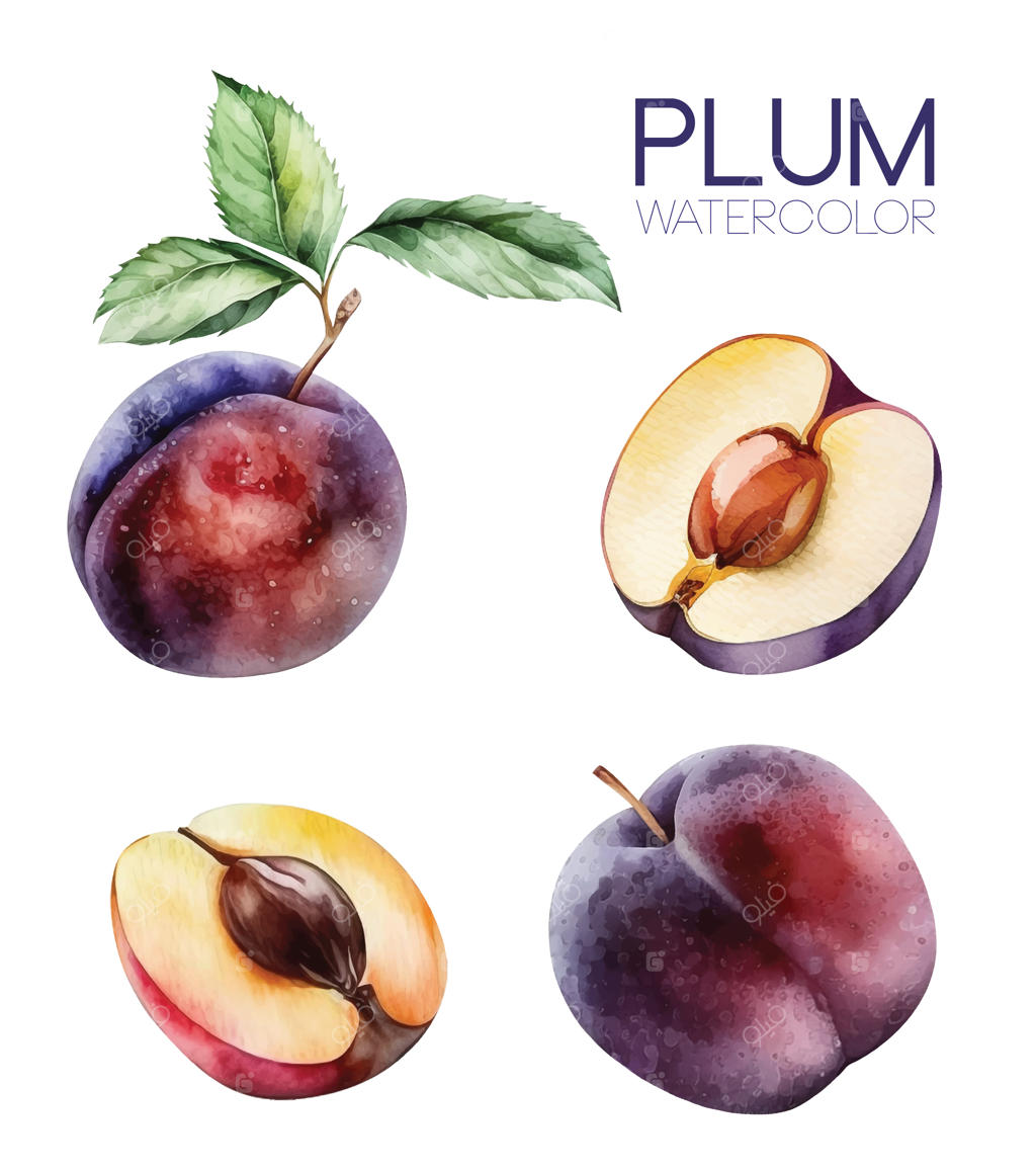 مجموعه رنگ‌های آبرنگ آلو