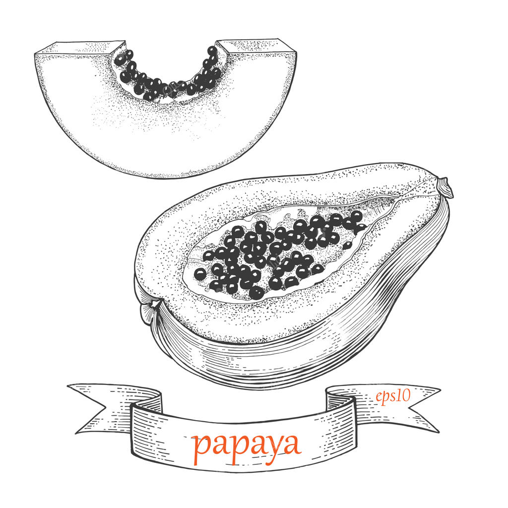 ست پاپایا: برش و نصفه. میوه گرمسیری روی زمینه سفید.