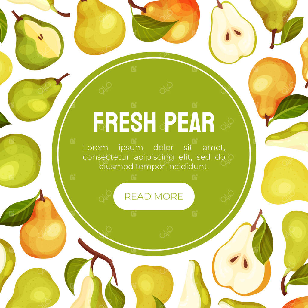 طراحی بنر میوه گلابی تازه با تم مزرعه باغی