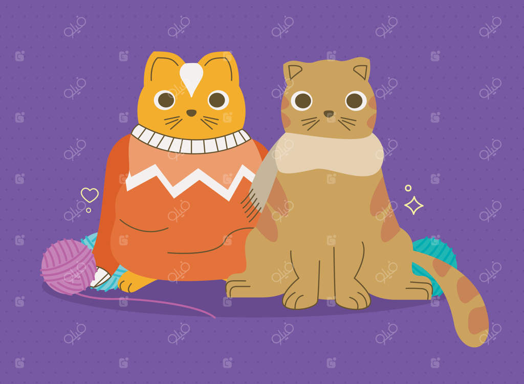 زوج بامزه گربه‌های کوچک