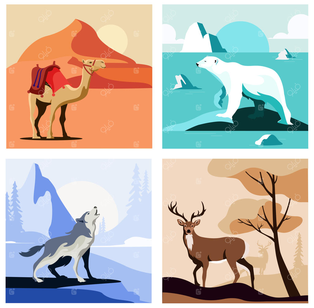 مجموعه صحنه‌هایی از حیوانات