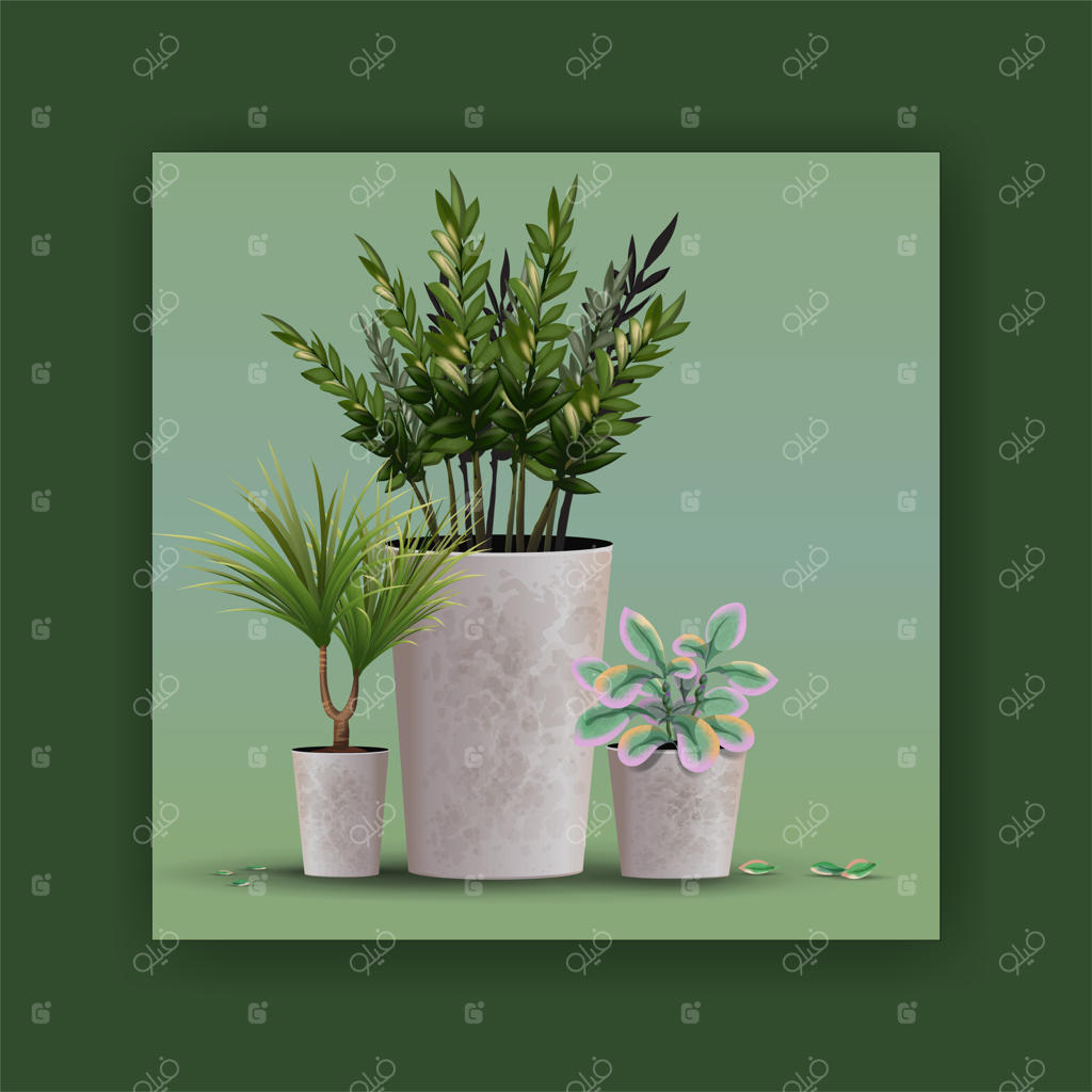 گیاه خانگی یا دفتری واقع‌گرایانه و شیک برای طراحی و دکوراسیون داخلی.