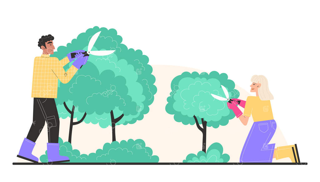 نوه و مادربزرگ در باغچه بوته‌ها را کوتاه می‌کنند.