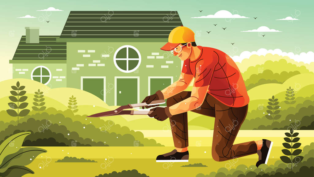 باغبان جوان با قیچی در حال کوتاه کردن چمن‌ها