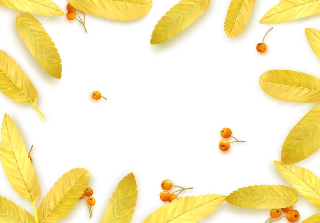 پس‌زمینه پاییزی با برگ‌های زرد واقعی. تصویر برداری