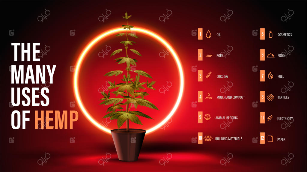 کاربردهای فراوان کَنَف: پوستر قرمز با بوته‌ی سبز شاهدانه و حلقه‌ی نئون زرد در پس‌زمینه‌ی قرمز