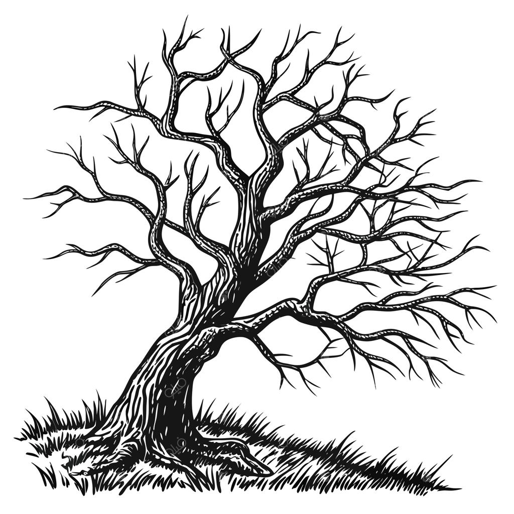 طرح پرتره جسورانه از درختی افسون‌زده