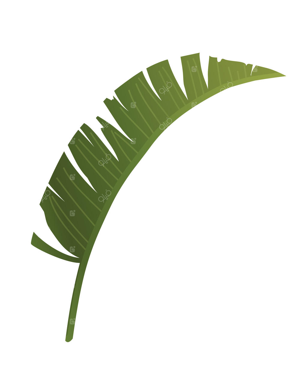 نماد گیاهان استوایی