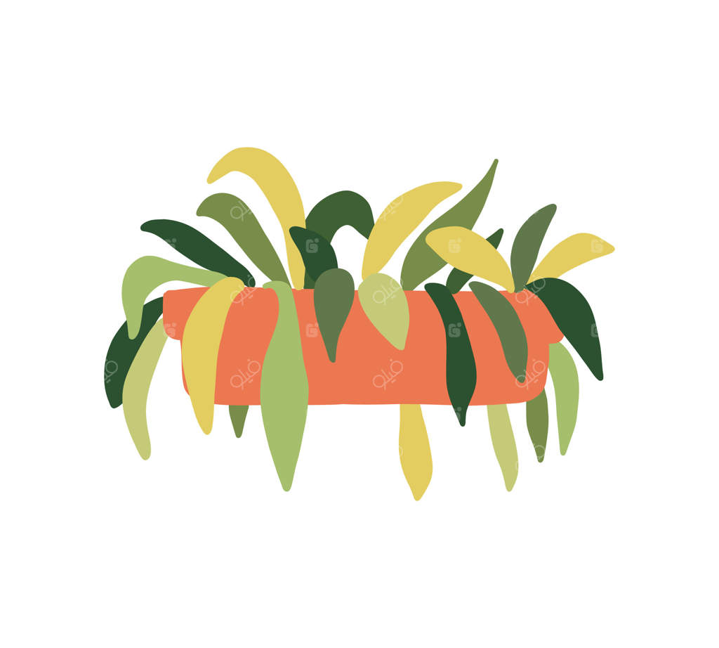 گیاه انتزاعی در گلدان: گلدان گل برای خانه و باغ، گیاه خانگی برای دکوراسیون داخلی