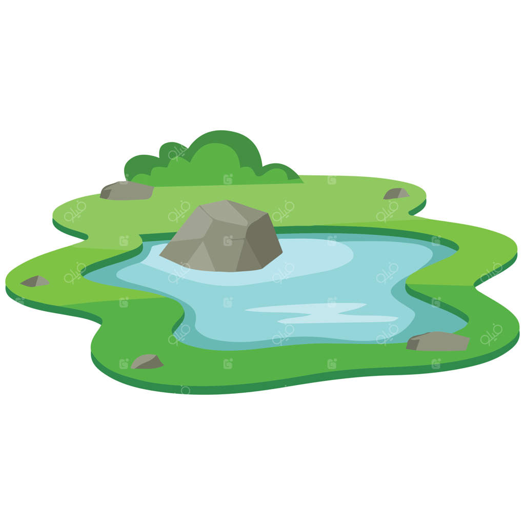 تصویر برکه آرام در باغ با آب زلال و شفاف زمینه سفید